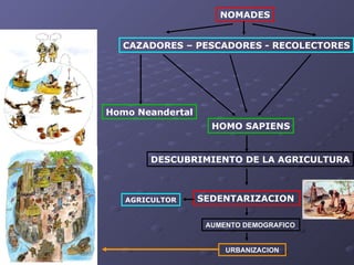 CAZADORES – PESCADORES - RECOLECTORES NOMADES Homo Neandertal HOMO SAPIENS DESCUBRIMIENTO DE LA AGRICULTURA SEDENTARIZACION AGRICULTOR AUMENTO DEMOGRAFICO URBANIZACION 