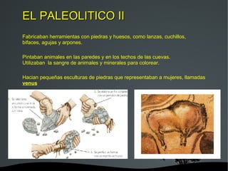 EL PALEOLITICO II Fabricaban herramientas con piedras y huesos, como lanzas, cuchillos, bifaces, agujas y arpones.  Pintaban animales en las paredes y en los techos de las cuevas. Utilizaban  la sangre de animales y minerales para colorear. Hacian pequeñas esculturas de piedras que representaban a mujeres, llamadas  venus 