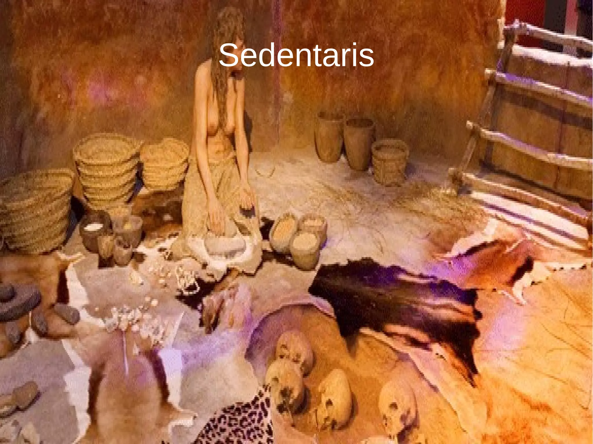 Sedentaris
 