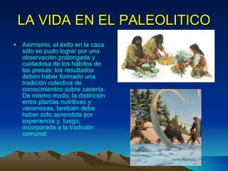 LA VIDA EN EL PALEOLITICO Asimismo, el éxito en la caza sólo se pudo lograr por una observación prolongada y cuidadosa de los hábitos de las presas; los resultados deben haber formado una tradición colectiva de conocimientos sobre cacería. De mismo modo, la distinción entre plantas nutritivas y venenosas, también debe haber sido aprendida por experiencia y, luego, incorporada a la tradición comunal. 