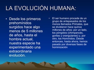 LA EVOLUCIÓN HUMANA: Desde los primeros prehomínidos surgidos hace algo menos de 5 millones de años, hasta el hombre actual, nuestra especie ha experimentado una extraordinaria evolución. El ser humano procede de un grupo de antepasados de los monos llamados Primates, que se dividieron hace quince millones de años: por un lado, los póngidos (chimpancés, gorilas y orangutanes) y, por otro, los Homínidos. Desde entonces, hasta ahora, hemos pasado por diversas fases de hominización 