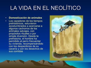 LA VIDA EN EL NEOLÍTICO Domesticación de animales Los cazadores de los tiempos prehistóricos, estuvieron acostumbrados a acercarse a algunos cachorros de los animales salvajes, con propósitos rituales o por simple diversión. Desde la prehistoria, el hombre ha permitido al perro frecuentar su vivienda, recompensándolo con los desperdicios de su cacería y con los desechos de sus comidas 