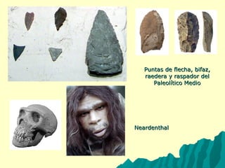 PPuunnttaass ddee fflleecchhaa,, bbiiffaazz,, 
rraaeeddeerraa yy rraassppaaddoorr ddeell 
PPaalleeoollííttiiccoo MMeeddiioo 
NNeeaarrddeenntthhaall 
 