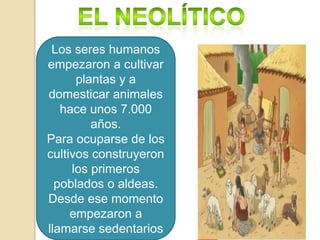  el NeolíticoLos seres humanos empezaron a cultivar plantas y a domesticar animales hace unos 7.000 años.Para ocuparse de los cultivos construyeron  los primeros poblados o aldeas. Desde ese momento empezaron a llamarse sedentarios 