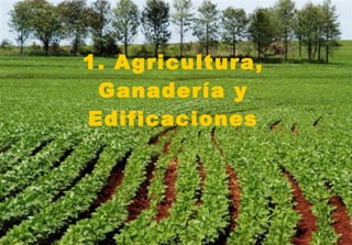 1. Agricultura, Ganadería y Edificaciones 