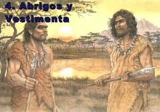 4. Abrigos y Vestimenta 