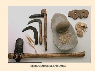 INSTRUMENTOS DE LABRANZA 
 