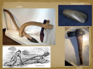 arado
hacha
Piedra pulida
 