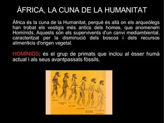 ÀFRICA, LA CUNA DE LA HUMANITAT Àfrica és la cuna de la Humanitat, perquè és allà on els arqueòlegs han trobat els vestigis més antics dels homes, que anomenem Homínids. Aquests són els supervivents d'un canvi mediambiental, caracteritzat per la disminució dels boscos i dels recursos alimenticis d'origen vegetal. HOMÍNIDS : és el grup de primats que inclou al ésser humà actual i als seus avantpassats fòssils. 