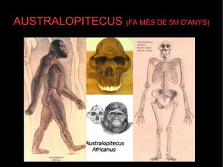 AUSTRALOPITECUS   (FA MÉS DE 5M D'ANYS)‏ 