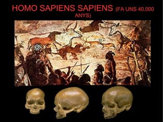 HOMO SAPIENS SAPIENS   (FA UNS 40.000 ANYS)‏ 