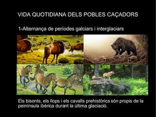 VIDA QUOTIDIANA DELS POBLES CAÇADORS 1-Alternança de períodes galciars i interglaciars Els bisonts, els llops i els cavalls prehistòrics són propis de la peinínsula ibèrica durant la última glaciació. 