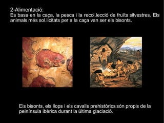 2-Alimentació:  Es basa en la caça, la pesca i la recol.lecció de fruïts silvestres. Els animals més sol.licitats per a la caça van ser els bisonts. Els bisonts, els llops i els cavalls prehistòrics són propis de la peinínsula ibèrica durant la última glaciació. 
