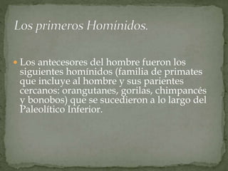 Los antecesores del hombre fueron los
siguientes homínidos (familia de primates
que incluye al hombre y sus parientes
cercanos: orangutanes, gorilas, chimpancés
y bonobos) que se sucedieron a lo largo del
Paleolítico Inferior.
 