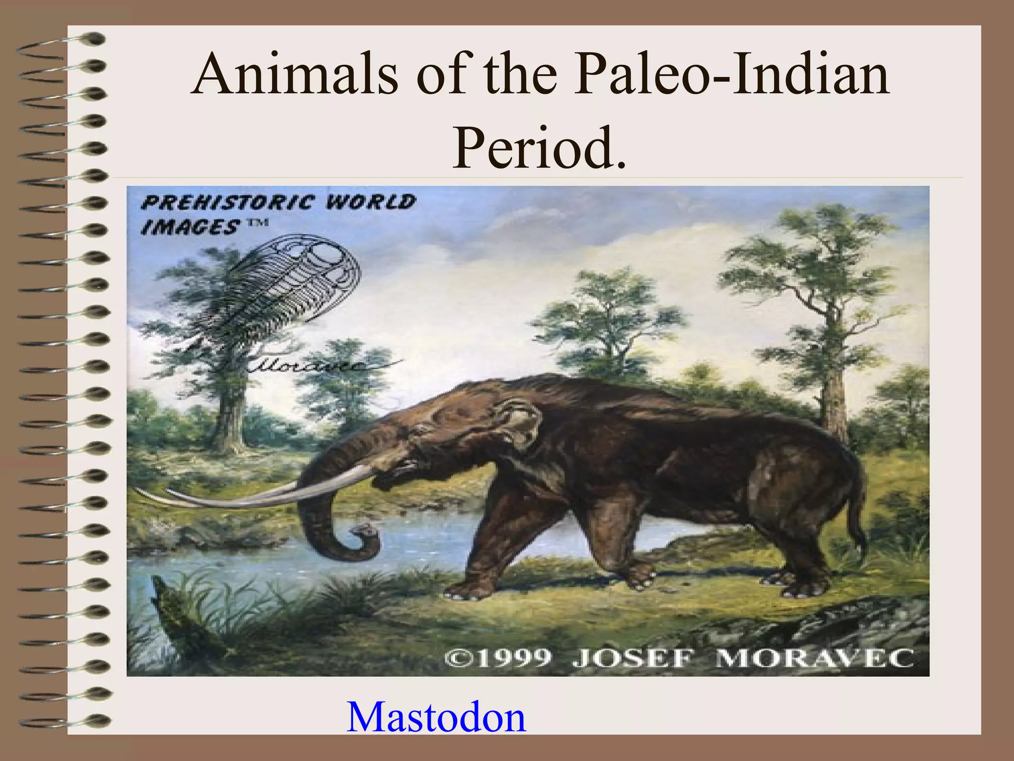 Animals of the Paleo-Indian
         Period.




      Mastodon
 