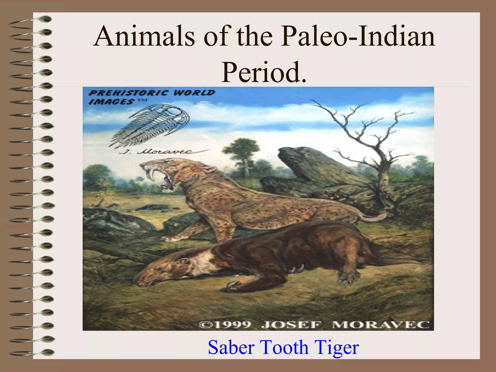 Animals of the Paleo-Indian
         Period.




         Saber Tooth Tiger
 