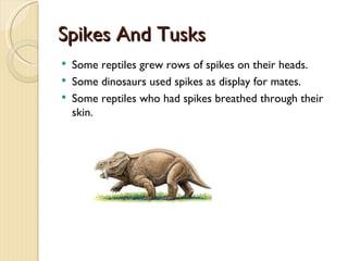 Spikes And Tusks
   Some reptiles grew rows of spikes on their heads.
   Some dinosaurs used spikes as display for mates.
   Some reptiles who had spikes breathed through their
    skin.
 