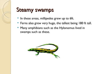 Steamy swamps
   In these areas, millipedes grew up to 6ft.
   Ferns also grew very huge, the tallest being 180 ft tall.
   Many amphibians such as the Hylonomus lived in
    swamps such as these.
 