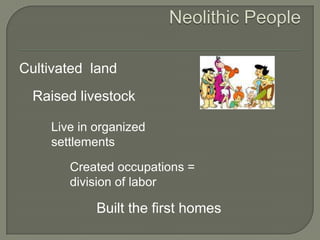 Neolithic PeopleCultivated  landRaised livestockLive in organized settlementsCreated occupations = division of laborBuilt the first homes