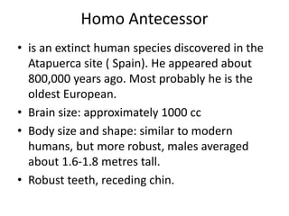 Prehistoric Man | PPTX
