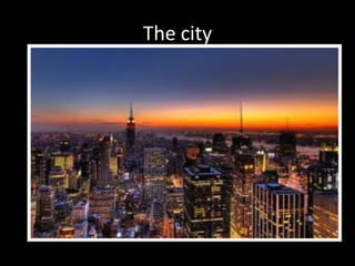 The city
 