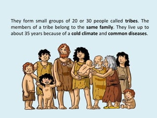They form small groups of 20 or 30 people called tribes. The
members of a tribe belong to the same family. They live up to
about 35 years because of a cold climate and common diseases.
 