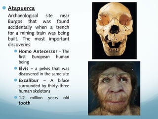 Atapuerca
Archaeological site near
Burgos that was found
accidentally when a trench
for a mining train was being
built. The most important
discoveries:
Homo Antecessor - The
first European human
being
Elvis – a pelvis that was
discovered in the same site
Excalibur – A biface
surrounded by thirty-three
human skeletons
1.2 million years old
tooth
 