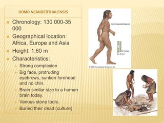 HOMO NEANDERTHALENSIS
 Chronology: 130 000-35
000
 Geographical location:
Africa, Europe and Asia
 Height: 1,60 m
 Characteristics:
 Strong complexion
 Big face, protruding
eyebrows, sunken forehead
and no chin.
 Brain similar size to a human
brain today.
 Various stone tools.
 Buried their dead (culture)
 