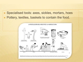  Specialised tools: axes, sickles, mortars, hoes
 Pottery, textiles, baskets to contain the food.
 
