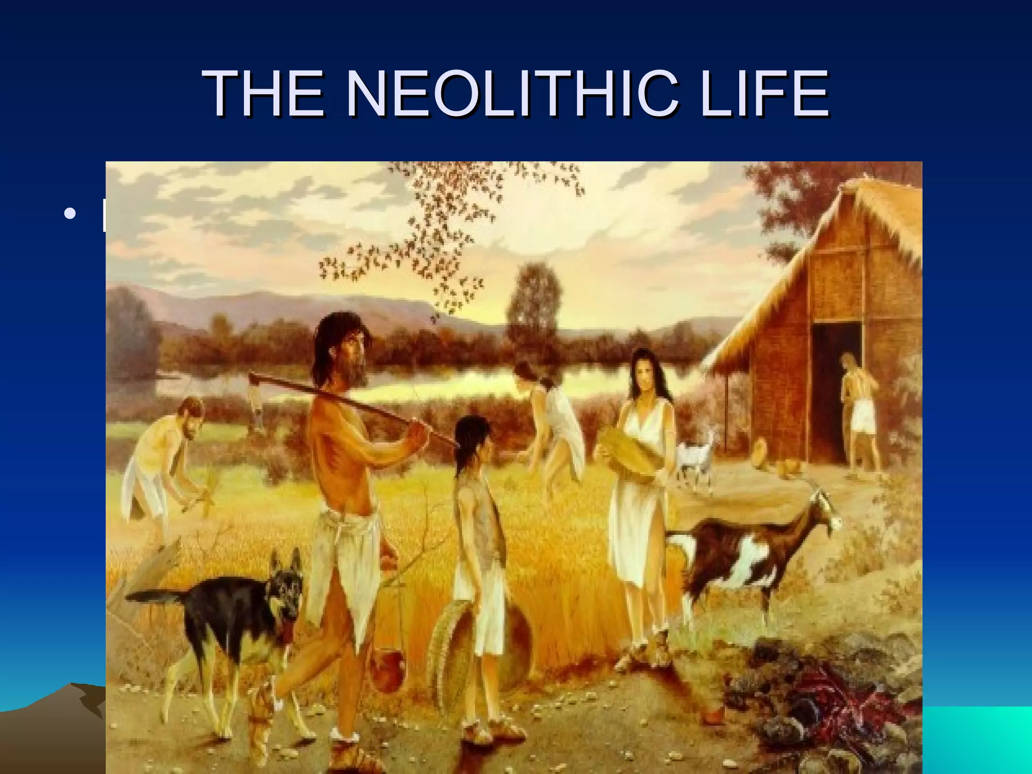 THE NEOLITHIC LIFE landscape 