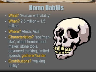Homo Habilis
• What? “Human with ability”
• When? 2.5 million – 1.5
million
• Where? Africa, Asia
• Characteristics? “ape/man-
like”, oldest hominid tool
maker, stone tools,
advanced thinking, limited
speech, gatherer/hunter
• Contributions? “walking
ability”
 