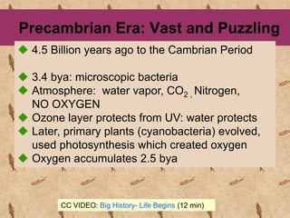 Precambrian Era: Vast and Puzzling
 4.5 Billion years ago to the Cambrian Period
 3.4 bya: microscopic bacteria
 Atmosphere: water vapor, CO2 , Nitrogen,
NO OXYGEN
 Ozone layer protects from UV: water protects
 Later, primary plants (cyanobacteria) evolved,
used photosynthesis which created oxygen
 Oxygen accumulates 2.5 bya
CC VIDEO: Big History- Life Begins (12 min)
 