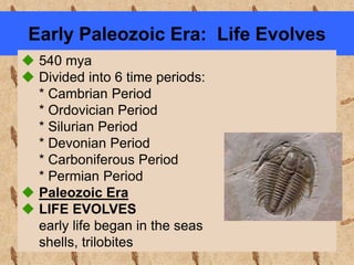 Early Paleozoic Era: Life Evolves
 540 mya
 Divided into 6 time periods:
* Cambrian Period
* Ordovician Period
* Silurian Period
* Devonian Period
* Carboniferous Period
* Permian Period
 Paleozoic Era
 LIFE EVOLVES
early life began in the seas
shells, trilobites
 