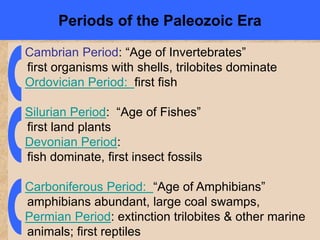 Cambrian Period: “Age of Invertebrates”
first organisms with shells, trilobites dominate
Ordovician Period: first fish
Silurian Period: “Age of Fishes”
first land plants
Devonian Period:
fish dominate, first insect fossils
Carboniferous Period: “Age of Amphibians”
amphibians abundant, large coal swamps,
Permian Period: extinction trilobites & other marine
animals; first reptiles
Periods of the Paleozoic Era
 