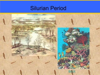 Silurian Period
BACK
 