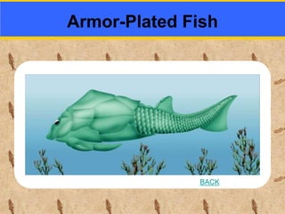 Armor-Plated Fish
BACK
 