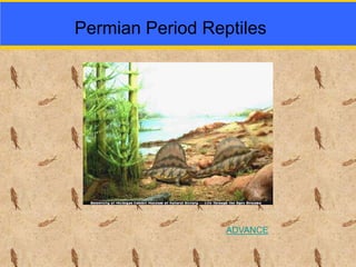 Permian Period Reptiles
ADVANCE
 