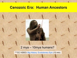 Cenozoic Era: Human Ancestors
2 mya – 10mya humans?
***CC VIDEO: Big History: Evolutionary Epic (12 min)
 