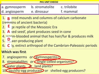 42
1. Layered mounds and columns of calcium carbonate
(remains of ancient bacteria)
2. large reptile of the Mesozoic Era
3. ‘naked seed’, plant produces seed in cone
4. warm-blooded animal that has hair/fur & produces milk
5. flower-producing plant
6. early, extinct arthropod of the Cambrian-Paleozoic periods
7. angiosperms or gymnosperms?
8. stromatolites or single-celled organisms?
9. water plants or land plants?
10. squishy-egg producers or shelled-egg producers?
a. gymnosperm b. stromatolite c. trilobite
d. angiosperm e. dinosaur f. mammal
A
PH1 UNIT CHECK2
Which was first:
B
C
E
D
 