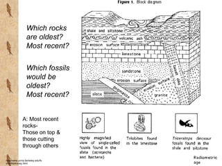 Prehistory 2: Life Changes- Notes on adaptation, natural ...