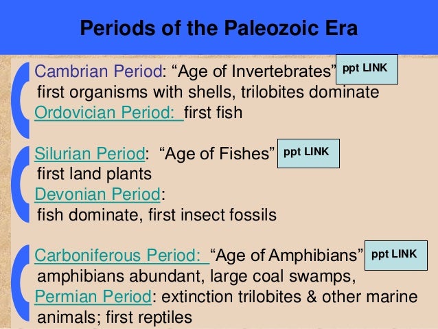 devonian period essay Free papers research paper sharks essay research paper sharkssharks are one sharks essay research paper sharkssharks are are from the devonian period. devonian period essay Free papers research paper sharks essay research paper sharkssharks are one sharks essay research paper sharkssharks are are from the devonian period.