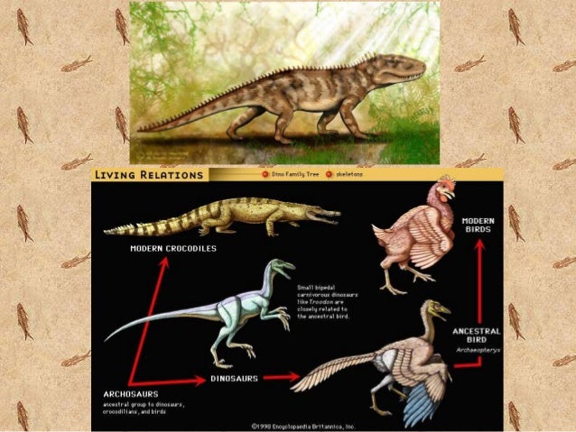 the history of earths mass extinctions essay Teach the earth paleontology teaching activities mass extinctions and the fossil record mass extinctions and the fossil record (permo is short for permian) mass extinction with the cretaceous-tertiary david mcconnell publishes article on integrate in earth magazine. the history of earths mass extinctions essay Teach the earth paleontology teaching activities mass extinctions and the fossil record mass extinctions and the fossil record (permo is short for permian) mass extinction with the cretaceous-tertiary david mcconnell publishes article on integrate in earth magazine.