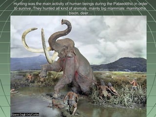 Hunting was the main activity of human beings during the Palaeolithic in order to survive. They hunted all kind of animals, mainly big mammals: mammoths, bison, deer… 