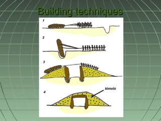Building techniques 
