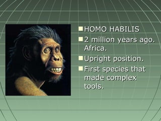 HOMO HABILIS 2 million years ago. Africa. Upright position. First species that made complex tools. 