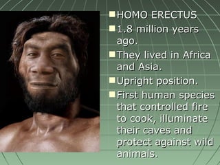 HOMO ERECTUS 1.8 million years ago. They lived in Africa and Asia. Upright position. First human species that controlled fire to cook, illuminate their caves and protect against wild animals. 