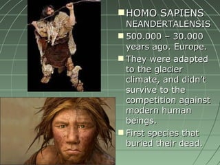HOMO SAPIENS  NEANDERTALENSIS 500.000 – 30.000 years ago. Europe. They were adapted to the glacier climate, and didn’t survive to the competition against modern human beings. First species that buried their dead. 