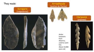 Scrapers
(raspadores)
Arrowheads
(puntas de flecha)
They made:
Antler
harpoons
from
Altamira,
used to catch
fish.
About 14,000
years old
Harpoons
(arpones)
 