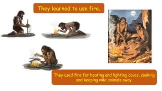They learned to use fire.
They used fire for heating and lighting caves, cooking
and keeping wild animals away.
 