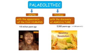 starts
with the appearance
of the first HUMANS
finishes
with the discovery
of AGRICULTURE.
4.5 million years ago 5,500 years ago (= 3,500 years b.C.)
PALAEOLITHIC
 